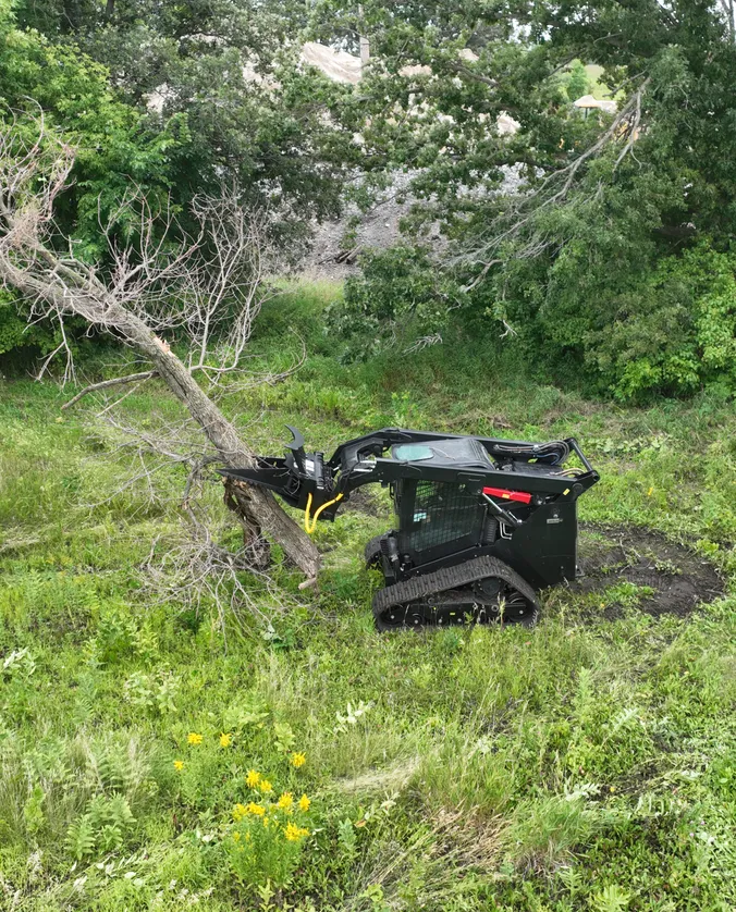 Heavy-Duty Tree Puller